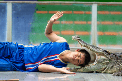 Photo with BABY CROCODILES