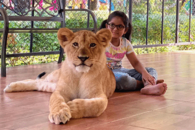 Photo with LION