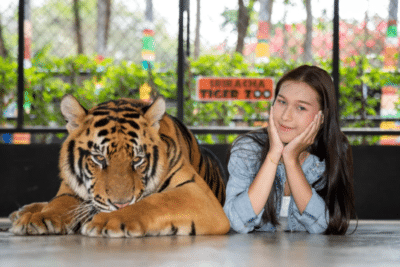 Photo with BIG TIGERS