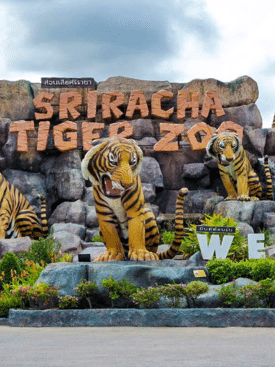 Tiger Topia